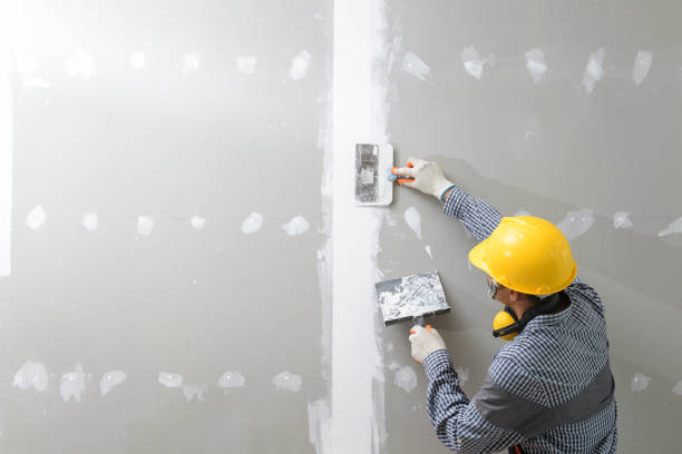 Best Industrial Mold Remediation  in Miles, TX