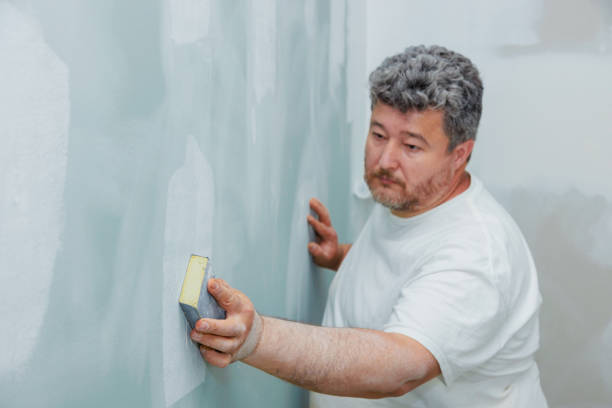 Trusted Miles, TX Mold Removal Experts