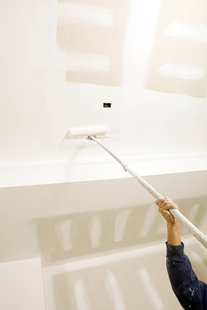 Mold Documentation for Insurance Claims in Miles, TX