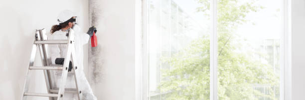 Best Asbestos and Lead Testing During Mold Inspection  in Miles, TX